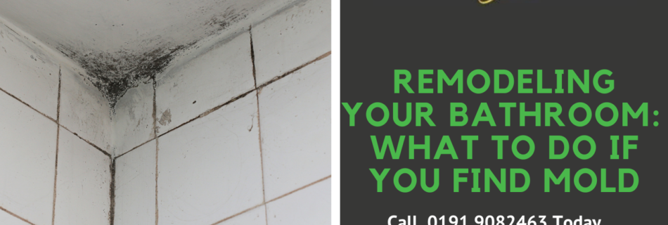 Remodeling Your Bathroom What to Do If You Find Mold