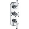 Traditional Lever Thermostatic Two Outlet Shower Valve