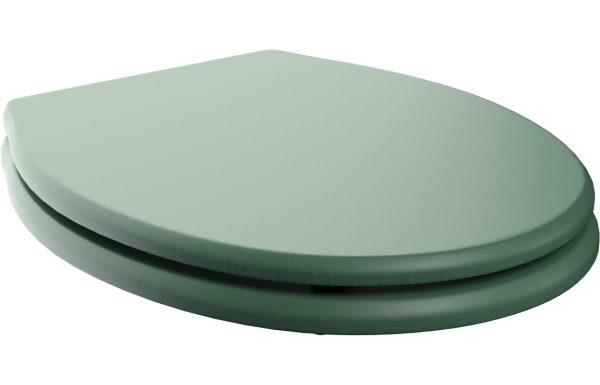 Aria Soft Close Toilet Seat - Matt Sage Green