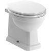 Iris Back To Wall WC & Satin White Wood Effect Seat