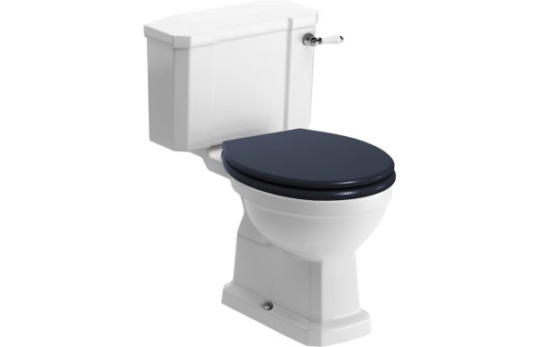 Iris Close Coupled WC & Indigo Ash Soft Close Seat