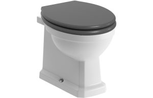 Iris Back To Wall WC & Grey Ash Soft Close Seat