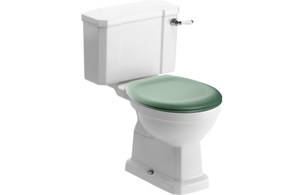 Iris Close Coupled WC & Sage Green Soft Close Seat